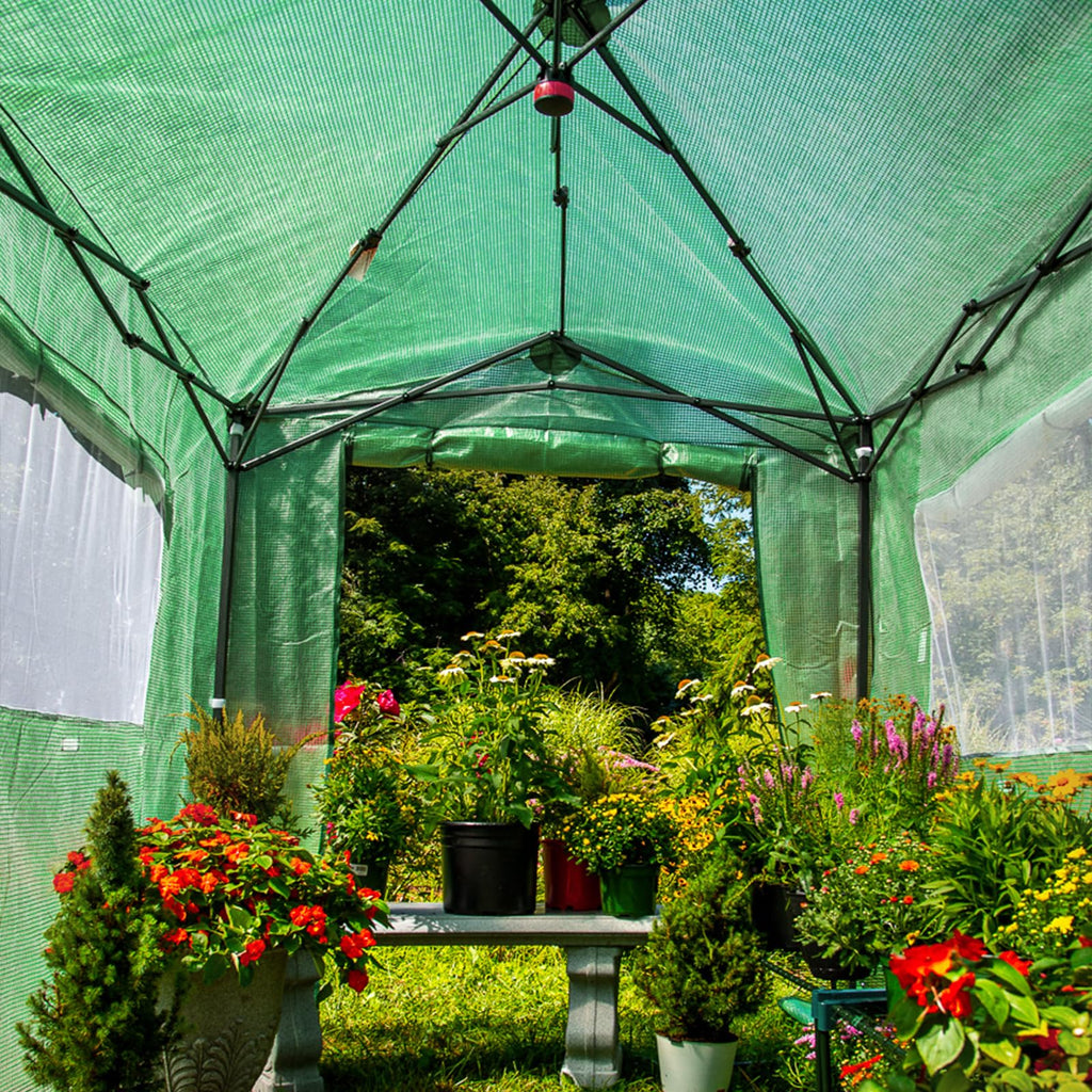EAGLE PEAK 8x6 Easy Setup Pop Up Greenhouse, Clear/Green