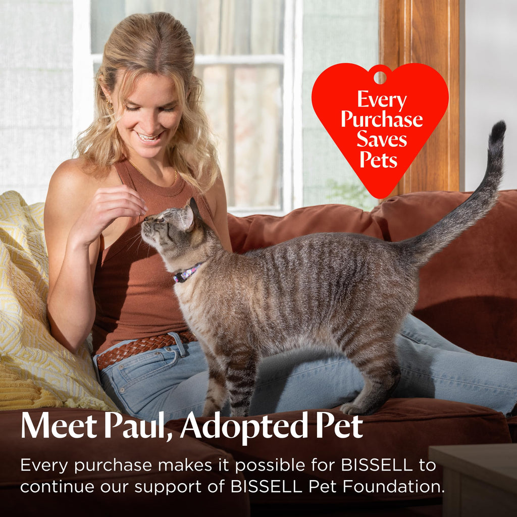 Bissell Pet Hair Eraser Cordless Hand Vacuum, Home, Auto & Pet, 2390A