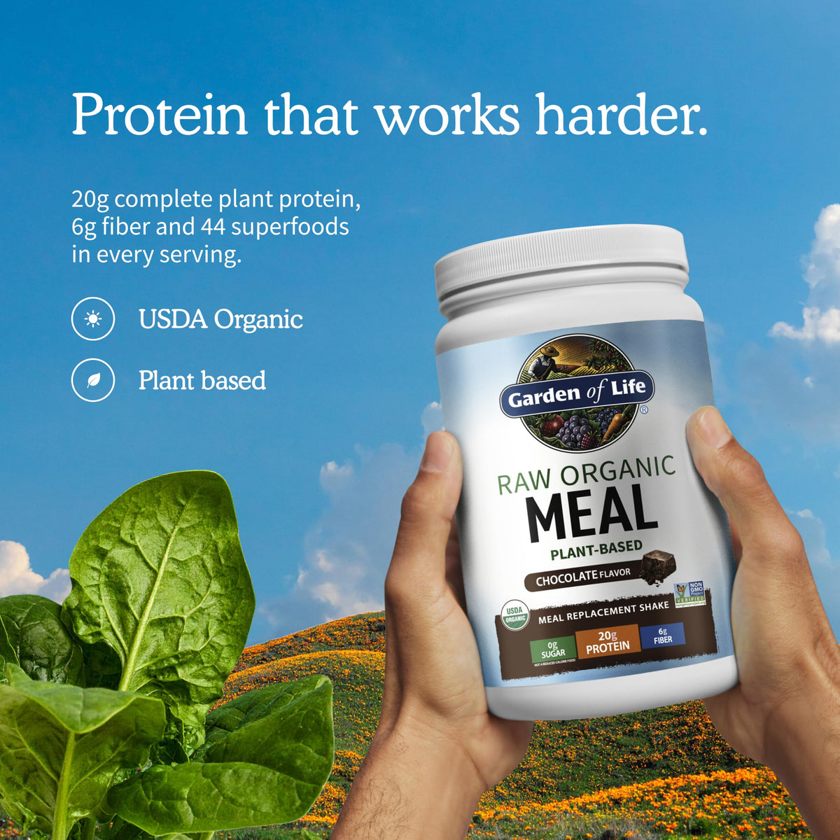 Garden of Life Raw Organic Meal Protein Powder, Chocolate, 28 Servings