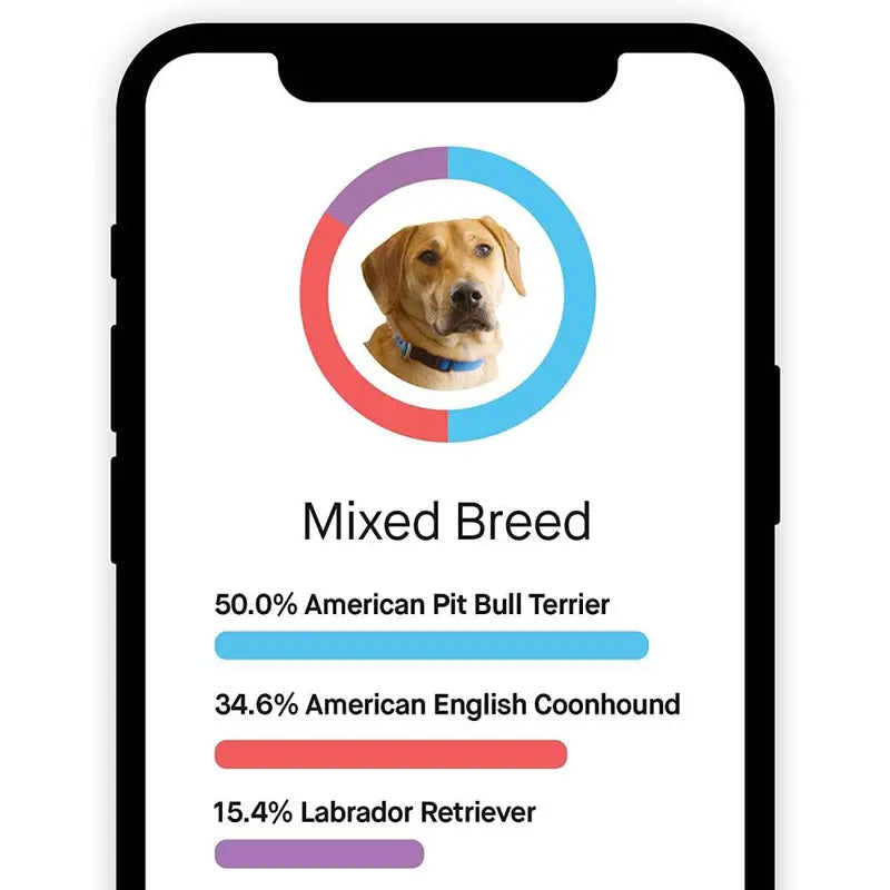 Embark Dog DNA Breed Identification Test Kit With Doggy Relative Finder