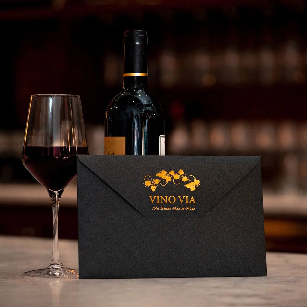 Vino Via 10-Bottle Wine Luggage With TSA Lock And Anti-Theft Zippers