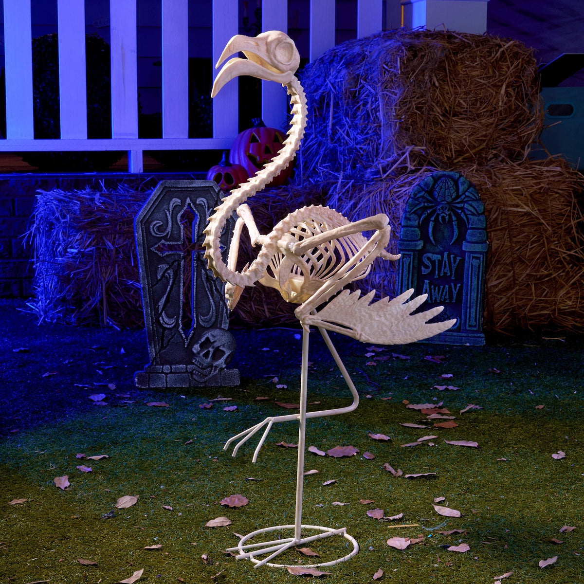 Joyfy Rabbit Skeleton