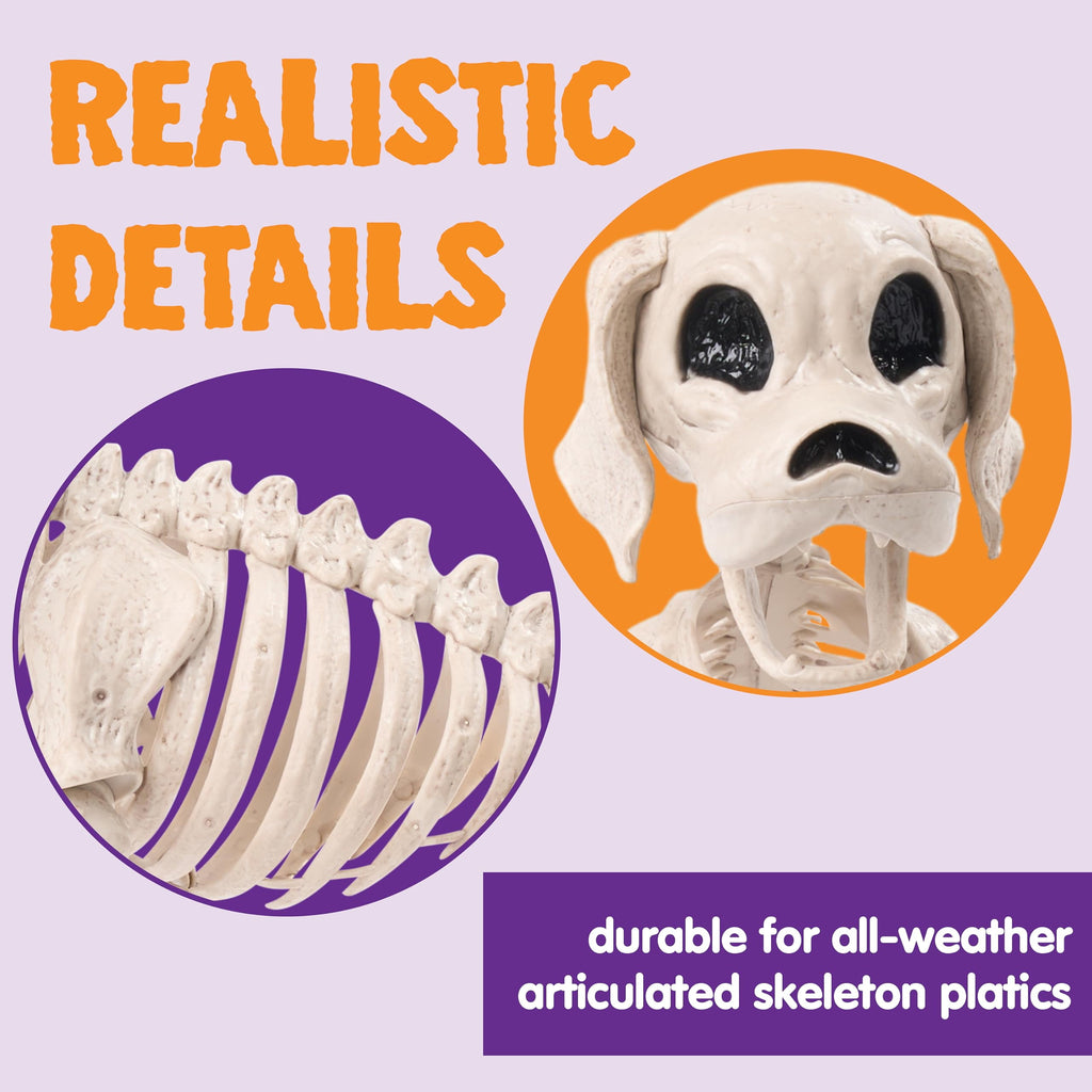 Joyfy 9.8 Inch Halloween Skeleton Dog Skeleton Halloween Decor, Pose-N-Stay Plastic Skeleton Bones with Posable Joints for Hallowmas Decoration Outdoor Haunted House Party