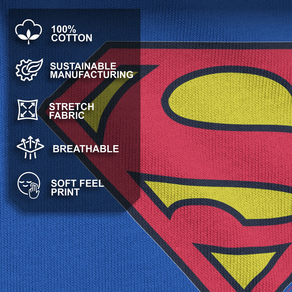 Boy's Superman Classic Logo Graphic Tee Royal Blue Medium