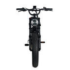 Electric Mountain Bike For Adults, 20 x 4.0 Fat Tires, 1000W Motor, 48V 20Ah Battery, Black - G-M1Sp