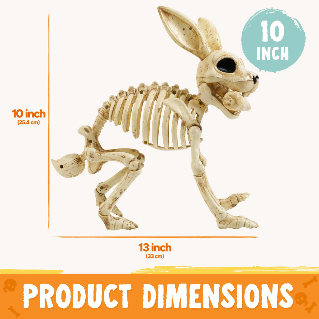 Joyfy Rabbit Skeleton