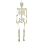 Light-Up LED Poseable Skeleton, Multicolor, 5', Halloween by Way To Celebrate