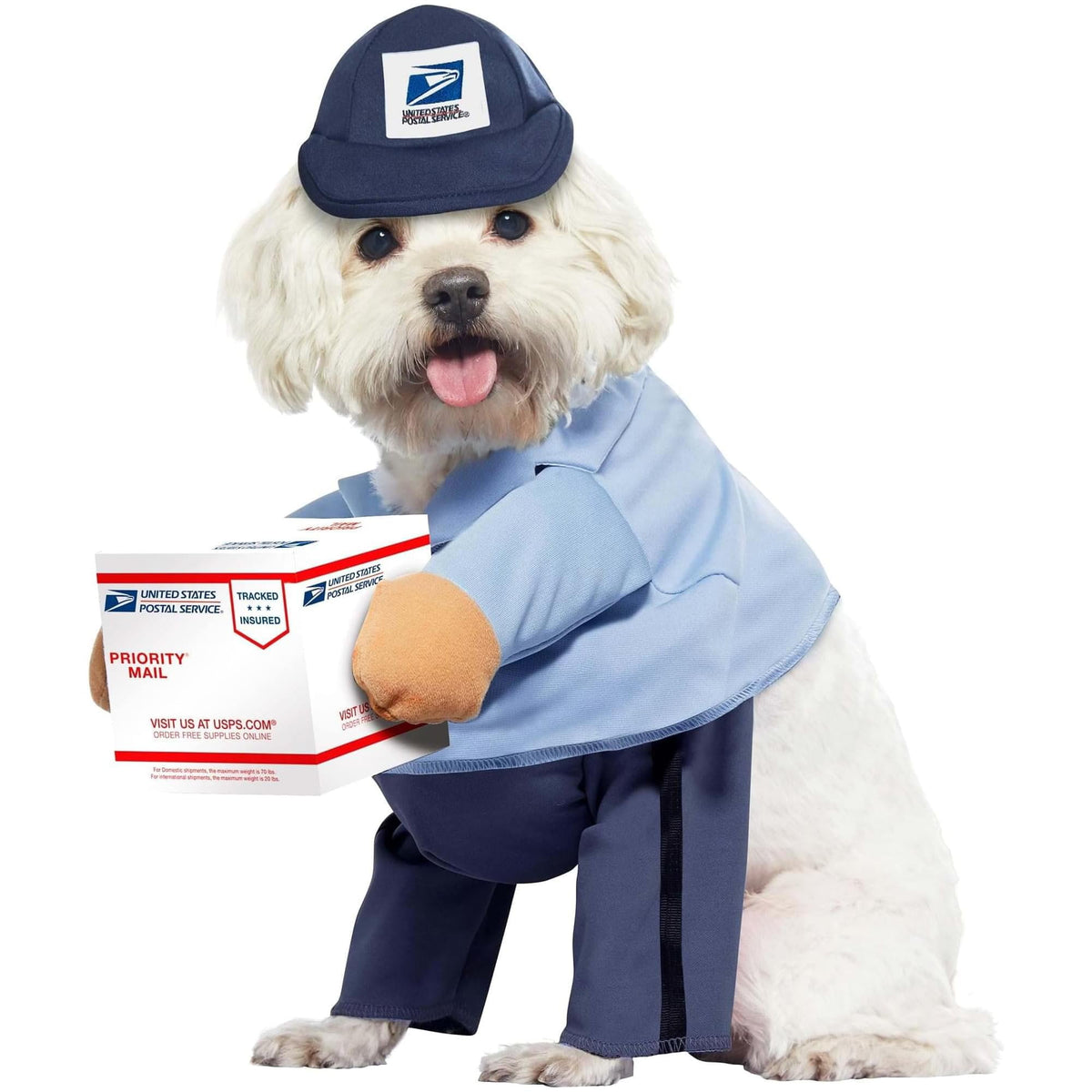 California Costumes US Mail Carrier Pup Dog Costume | X-Small Unisex