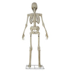 Way To Celebrate 8-Foot Animated Skeleton Plastic Outdoor Halloween Decor